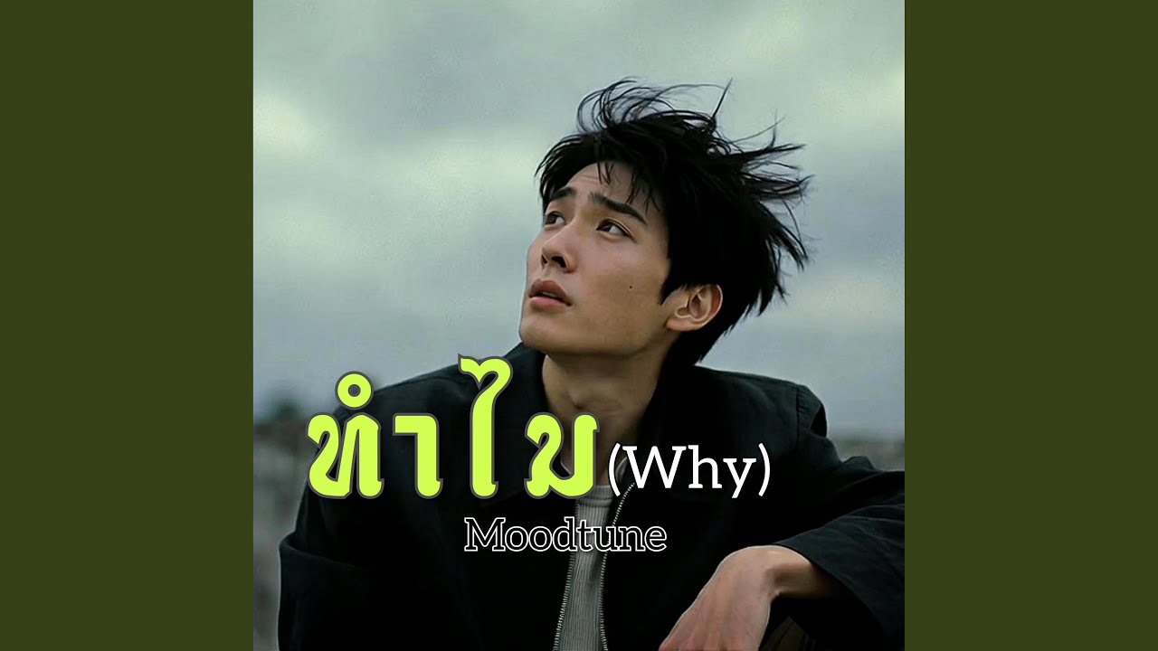 ทำไม(Why)