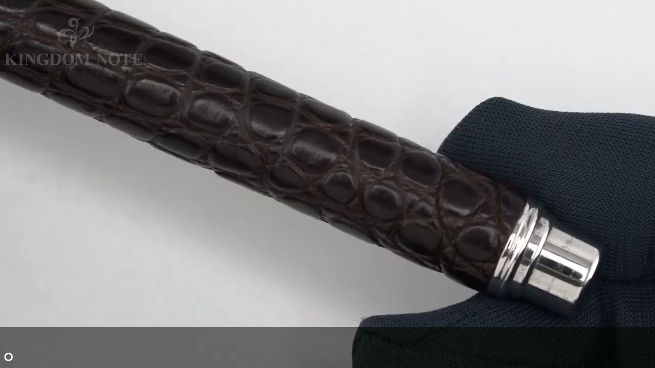 CARAN d'ACHE カランダッシュ 万年筆 バリアス アリゲーター F