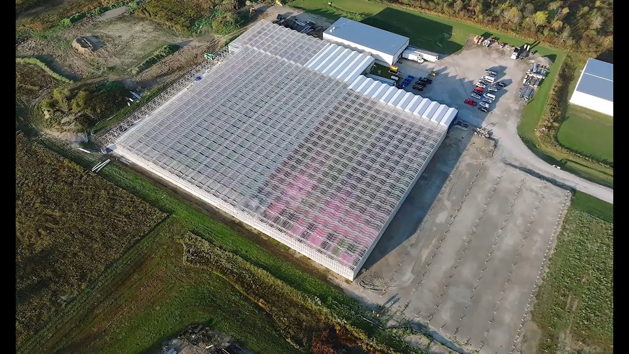 Great Lakes Growers - Introduction 2024