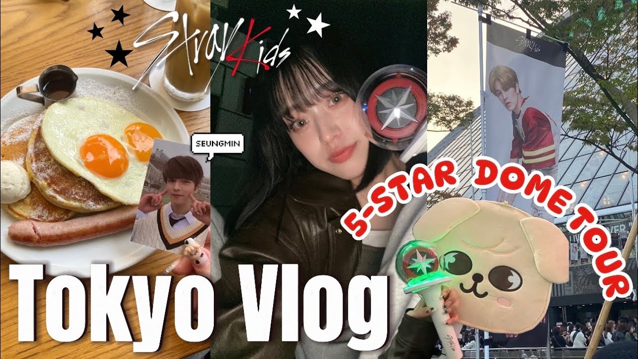 【Stray Kids】オタクが大好きな推しに会いに1人東京遠征した日🗼しあわせすぎた❤️❤️❤️【STAY VLOG】