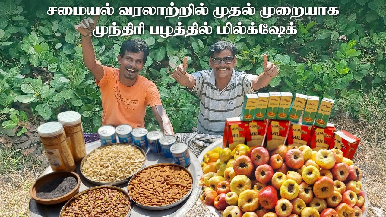 சமையல் வரலாற்றில் முதல் முறையாக முந்திரி பழத்தில் மில்க் ஷேக் | MAKING MILK SHAKE IN CASHEW FRUIT