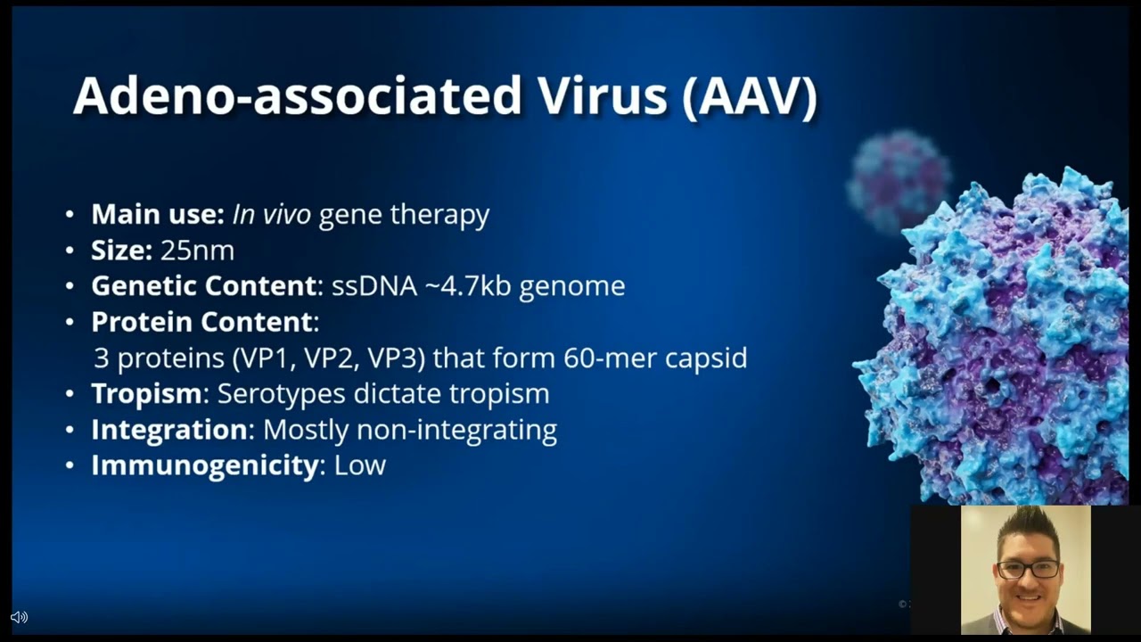 Unlocking the power of AAV and LVV Analytics: Insights and strategies for optimizing viral vector...