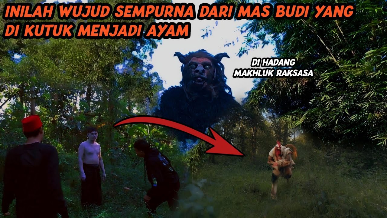 PASTI HISTERIS MELIHAT INI! PROSES EVAKUASI MAS BUDI YG DIKUTUK JADI AYAM@ANTABOGAMISTERI