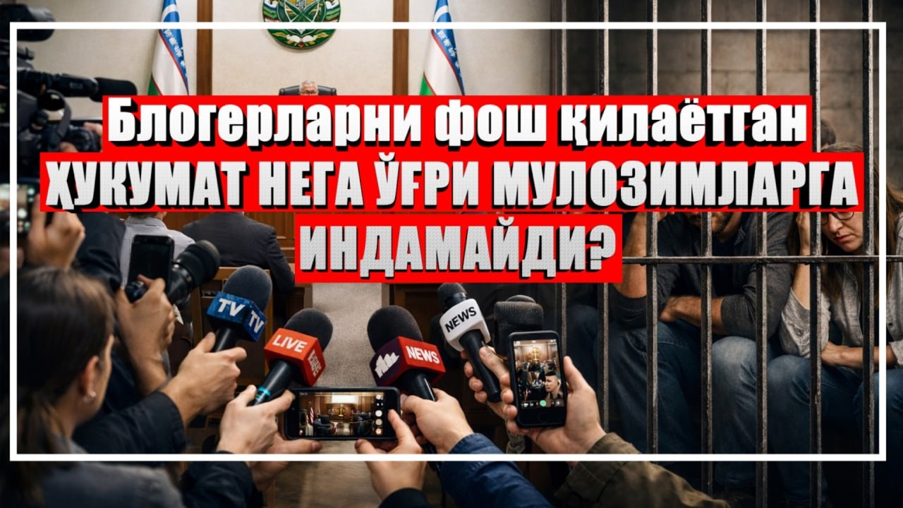 Негатив 630:  Блогерларни пойлаётган ҳукумат нега давлатни кемираётган каламушларни бошини силайди?