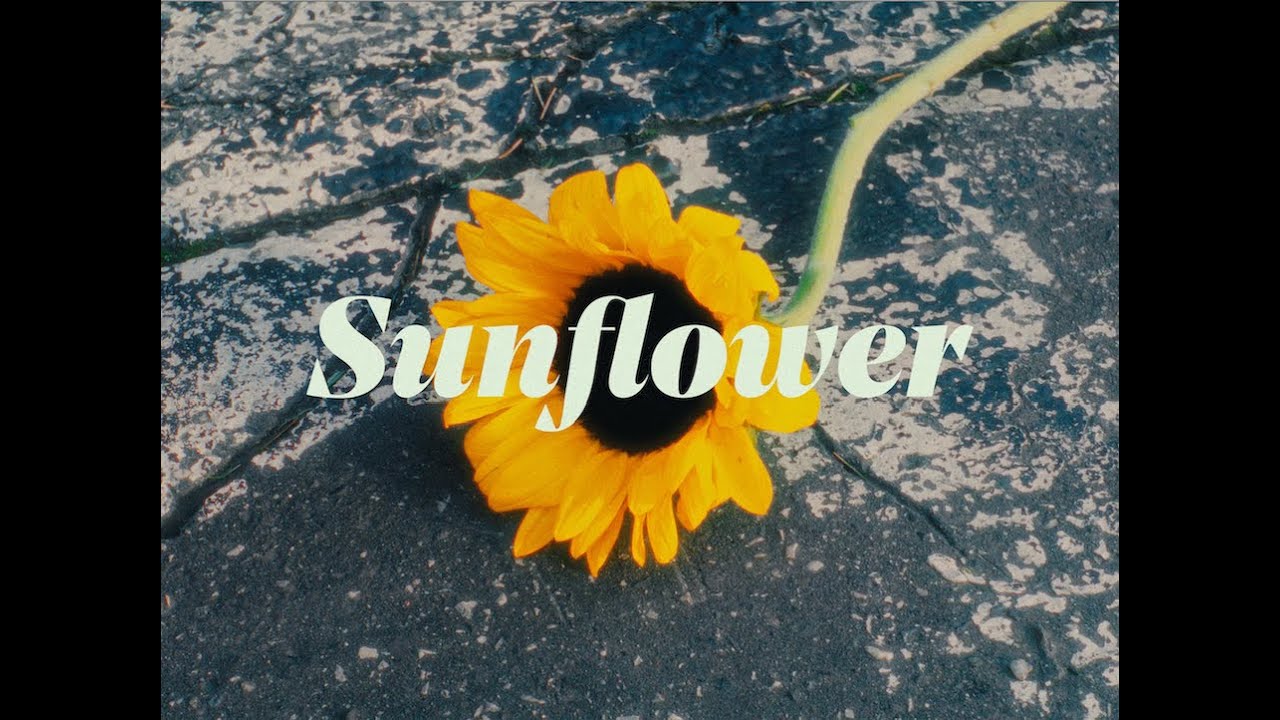 Sunflower - Tamara Kramar (Official Music Video)