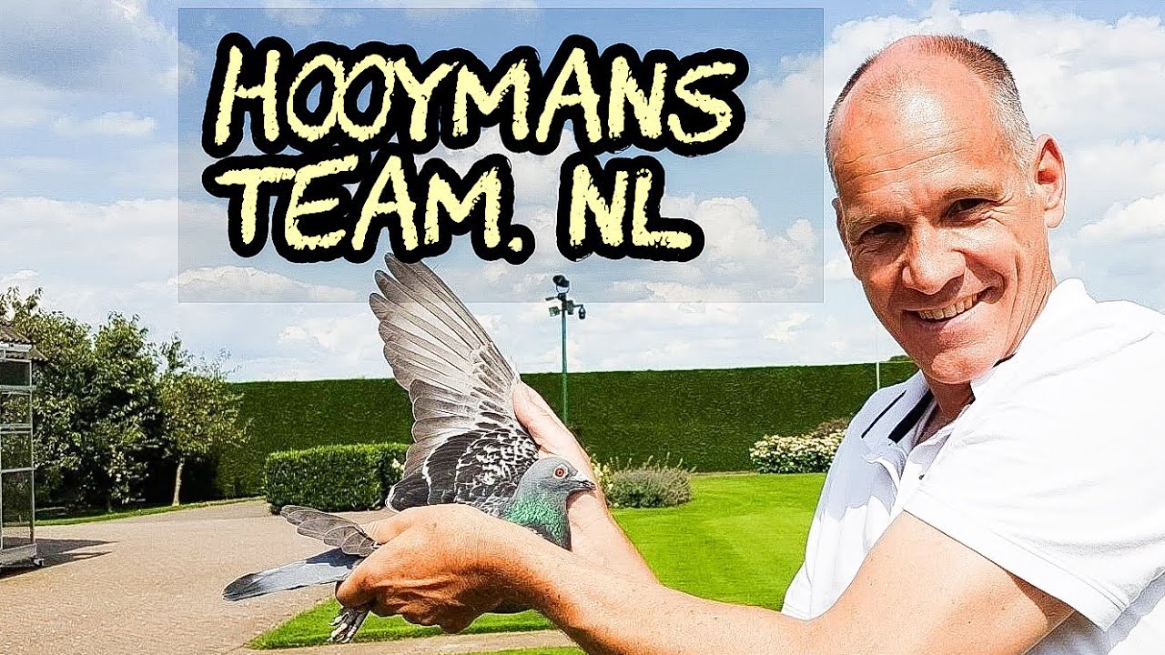 JAN HOOYMANS  racing pigeon  (Kerkdriel, NL):  Premier Racing Pigeon Amateurs in the Netherlands