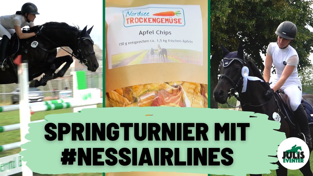 Springturnier mit Schleifenpony Nessi 🎀  / M*-Sieg knapp verpasst / Nordsee Trockengemüse
