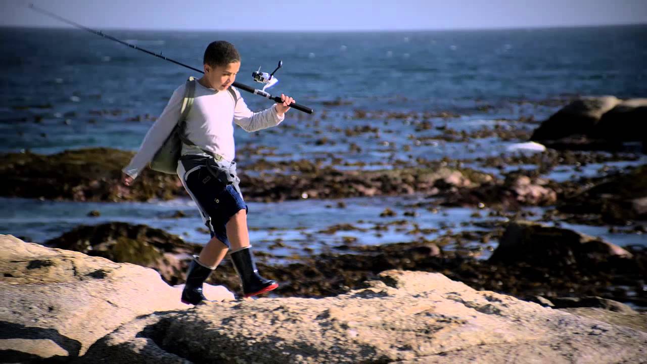 Sea Harvest - Savour the sea