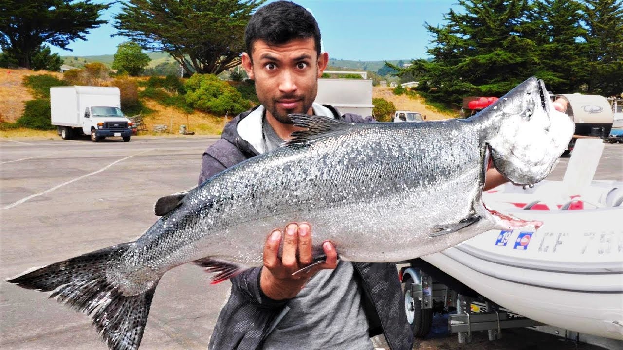Catch and Cook, Smoke and Eat GARGANTUAN King Salmon!!!!!!