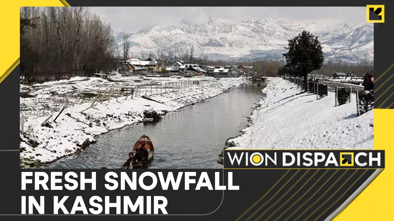 Jammu & Kashmir: Fresh Snowfall In Kashmir, Kashmir Valley Faces Extreme Cold Conditions