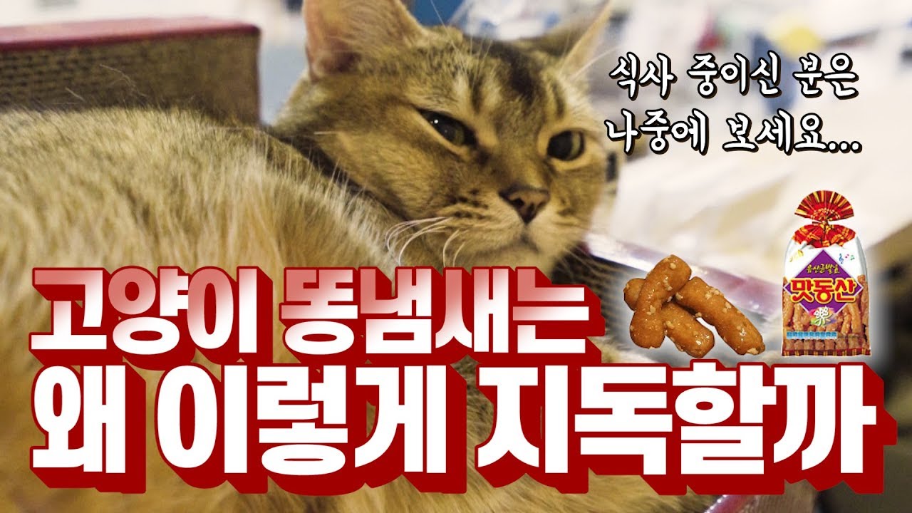 이 죽일놈의 똥 냄새...!!!!!!