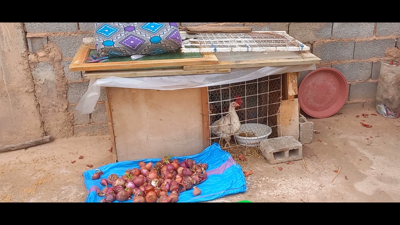 سفلي للبيع في مدينة فاس أولاد الطيب تقريبا 60متر بالهاوا ديالوا تمن 6ونص مليون 0660376326