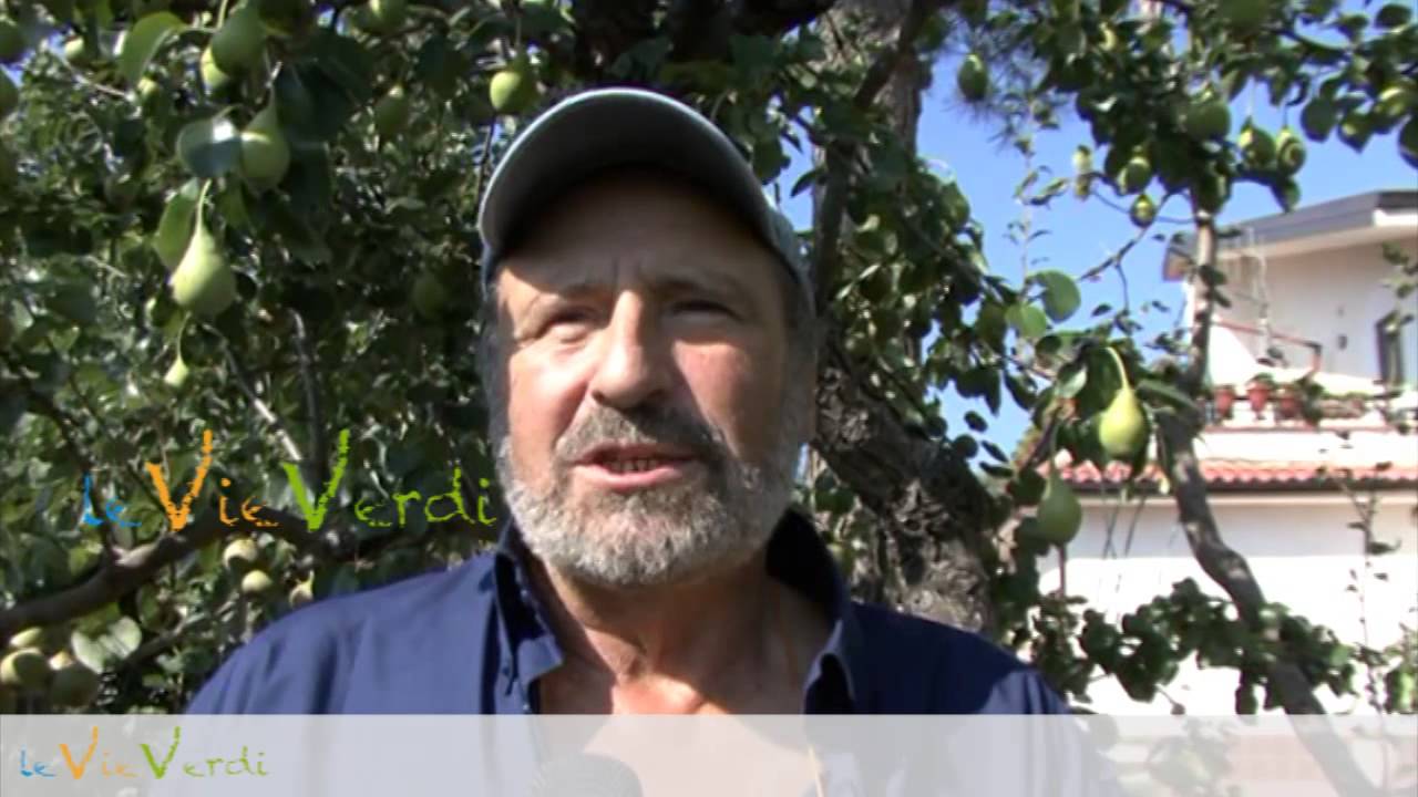 Le Vie Verdi Viaggio nelle antiche colture contadine
