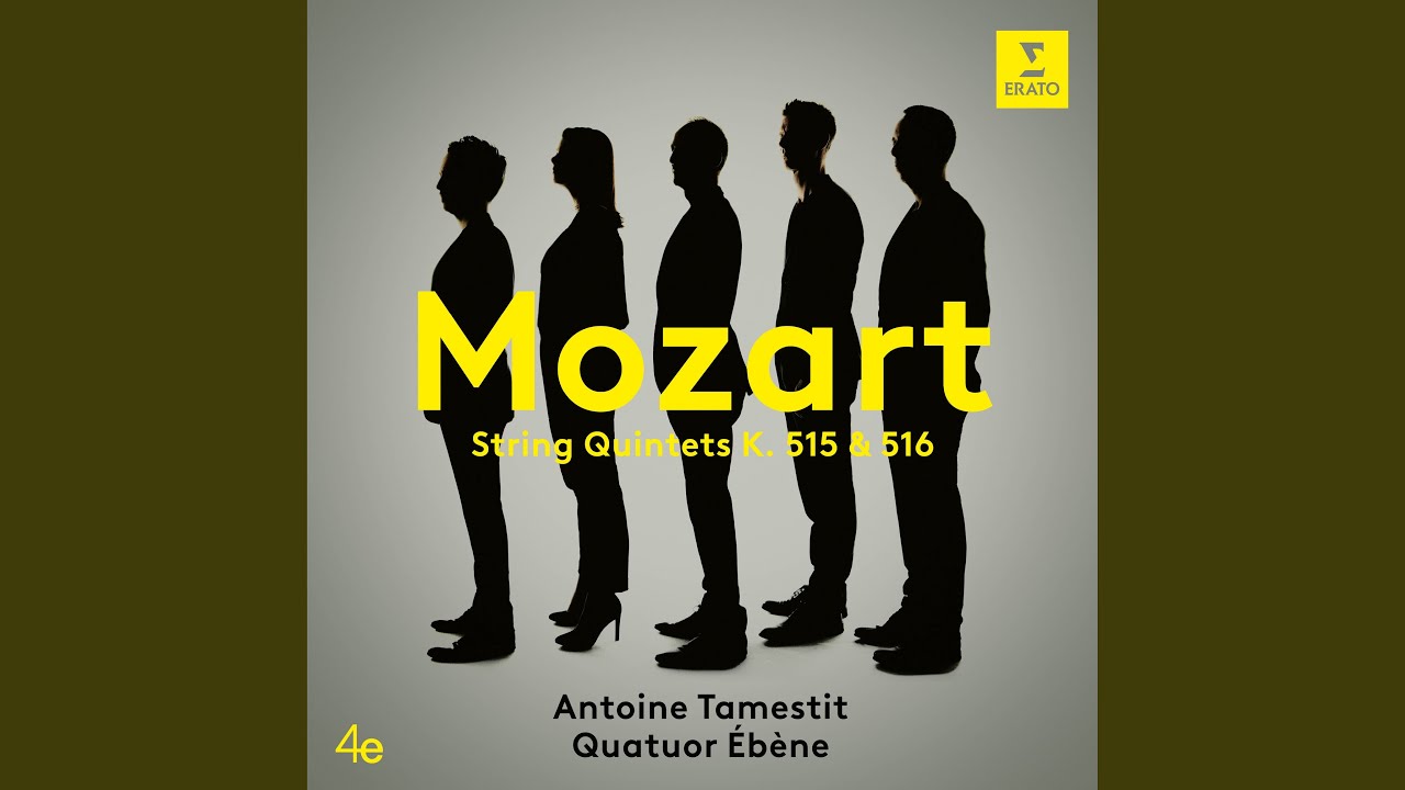 String Quintet No. 4 in G Minor, K. 516: I. Allegro