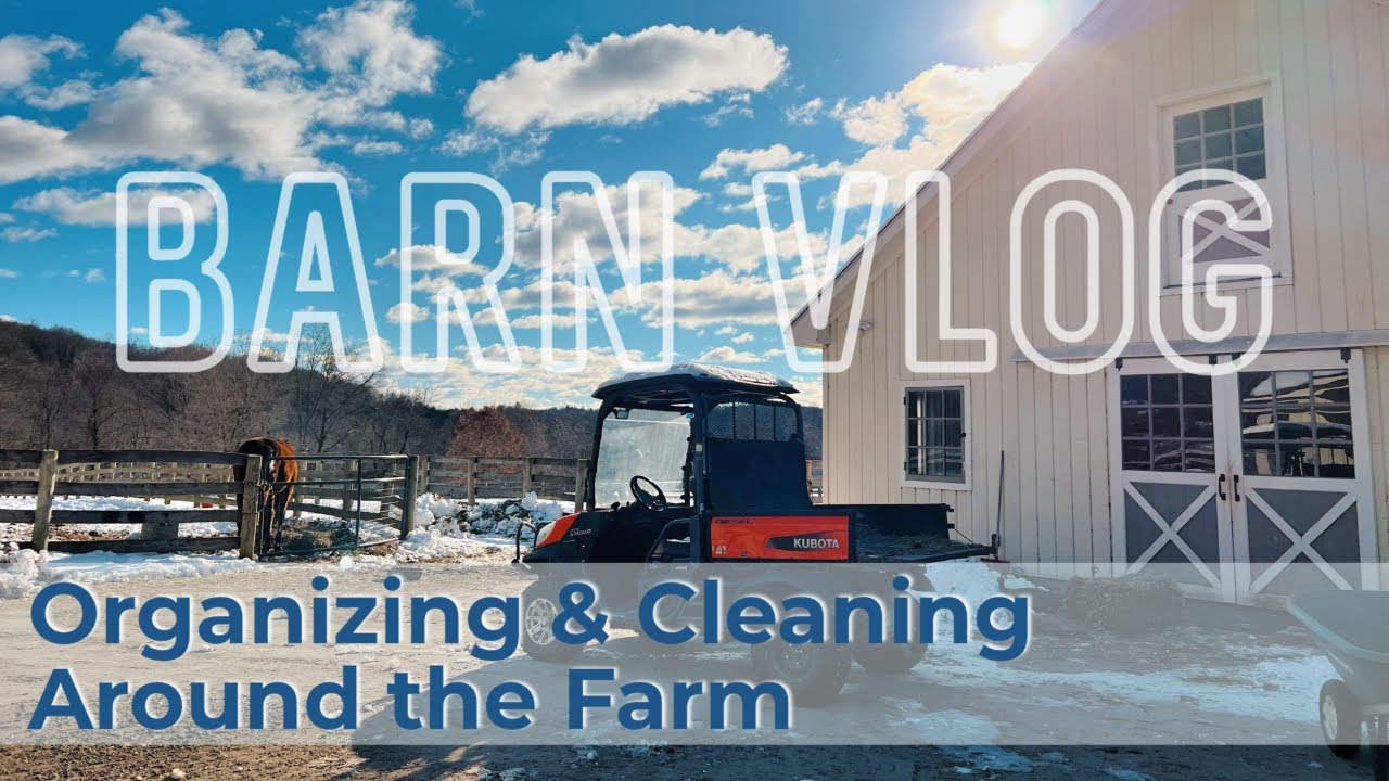 Organizing Around the Barn // EQUESTRIAN VLOG: Cleaning Projects, Barn Chores & Tidying Up