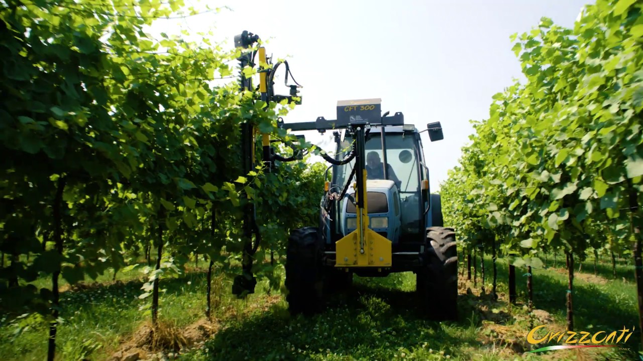 CIMATRICE ORIZZONTI CFT/300