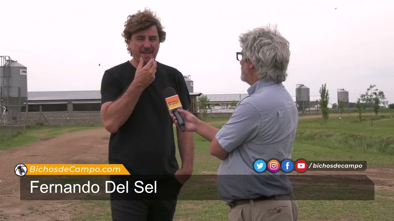 Fernando Del Sel, agrónomo del criadero de cerdos Santa Fe Agro, en Lincoln