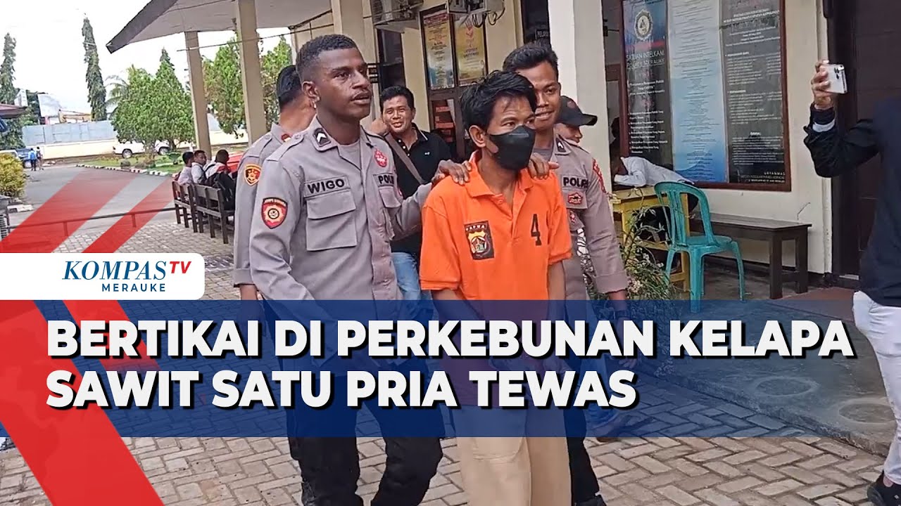 Bertikai di Perkebunan Kelapa Sawit Satu Pria Tewas