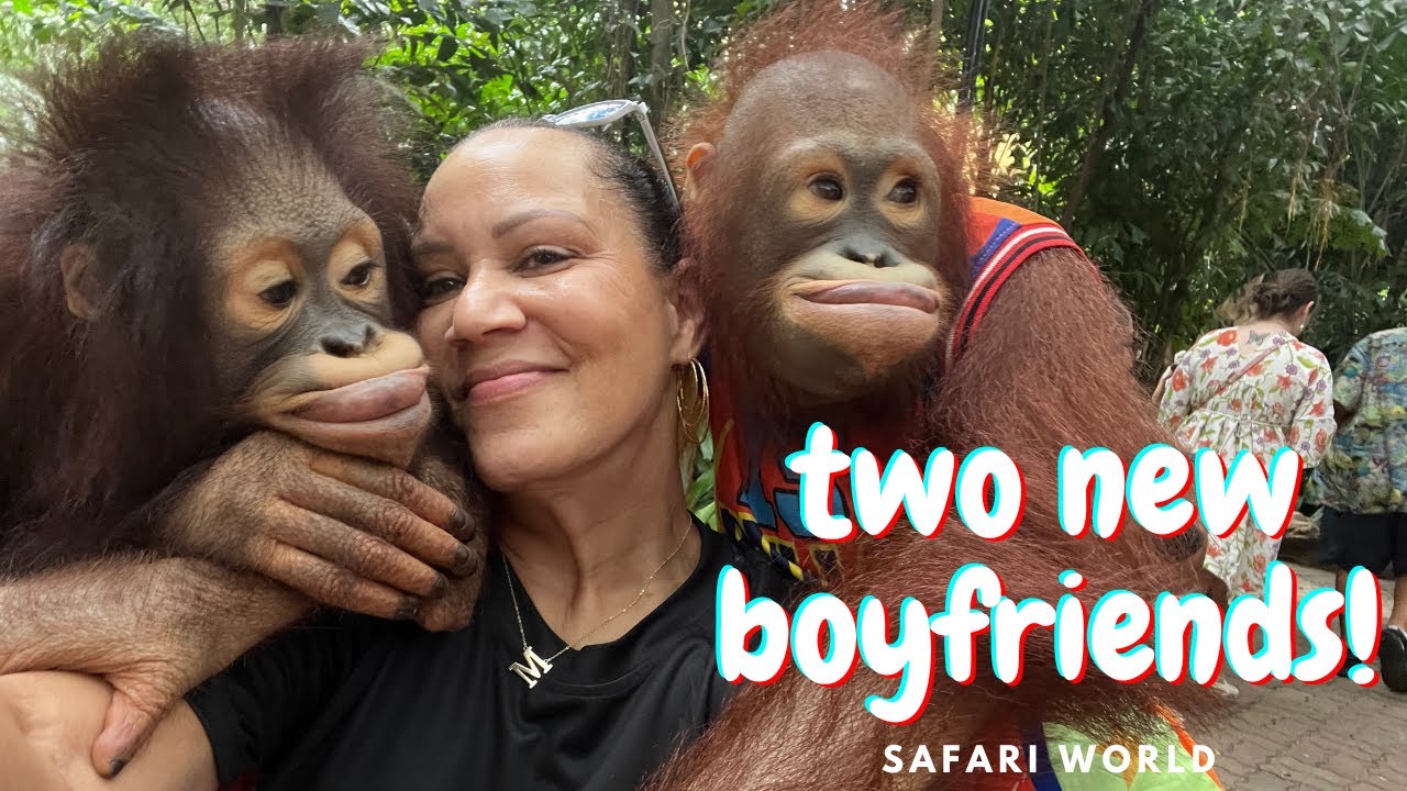 A dream come true at Safari World, Bangkok