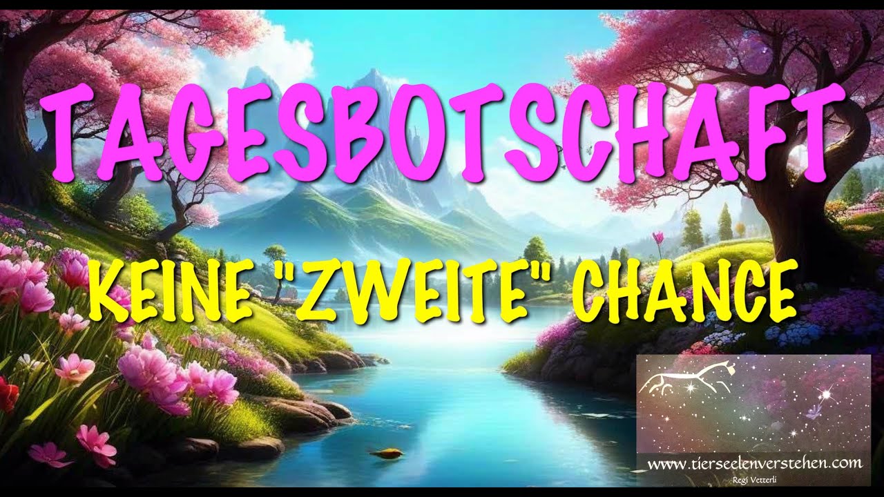 TAGESBOTSCHAFT: KEINE ZWEITE CHANCE, WEIL DIE FREQUENZ NICHT MEHR STIMMT