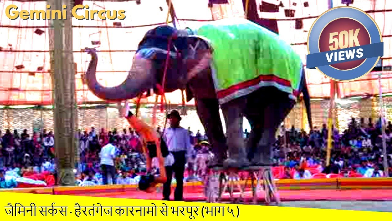 Gemini Circus - Amazing Acts (Part 5) | जैमिनी सर्कस - हैरतंगेज कारनामो से भरपूर (भाग ५ )