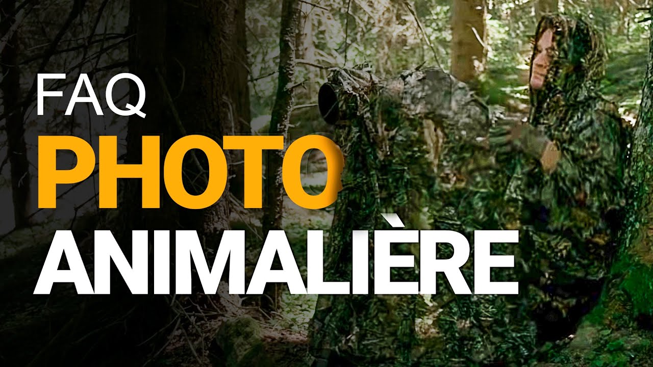 FAQ photo animalière : comment devenir pro ? Quel matériel acheter ? Quelles études ? Etc...