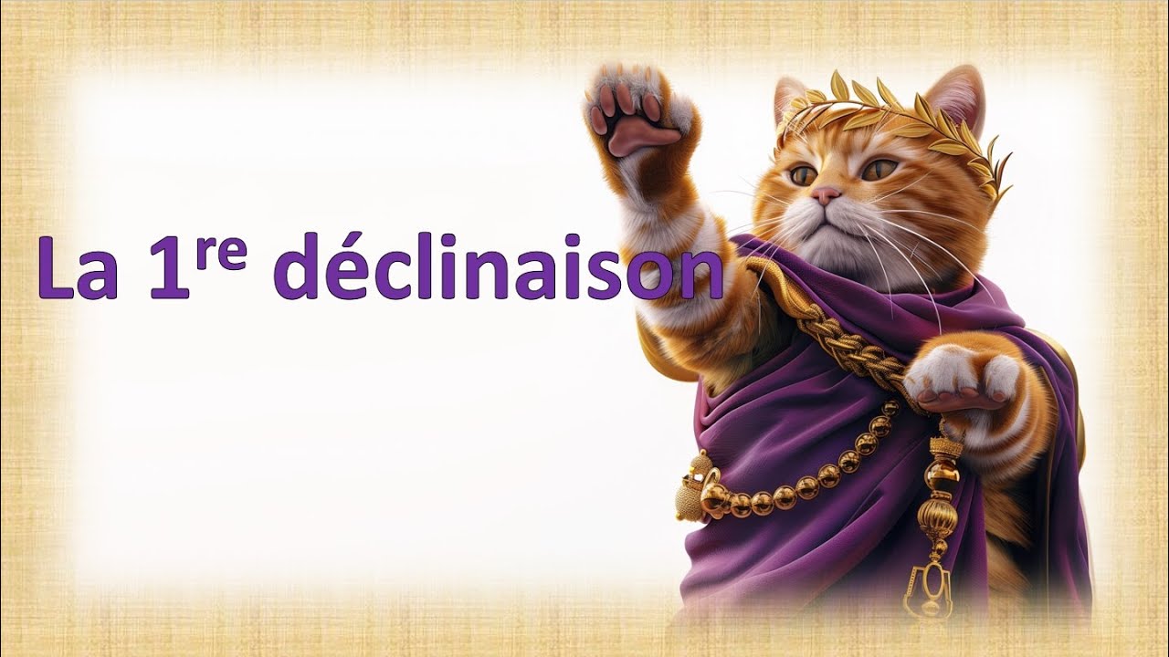 La 1re déclinaison