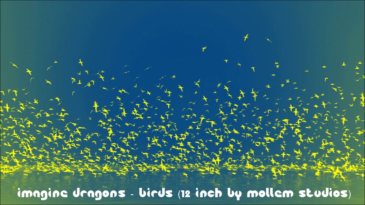Imagine Dragons - Birds (Extended Mollem Studios Version)