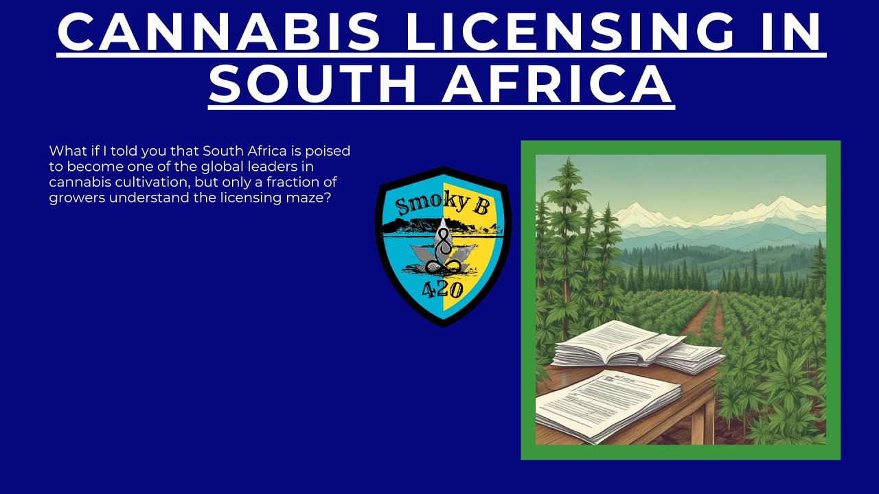 Cannabis Licensing in South Africa: A Step-by-Step Guide  | Cultivation, Manufacturing, and Export