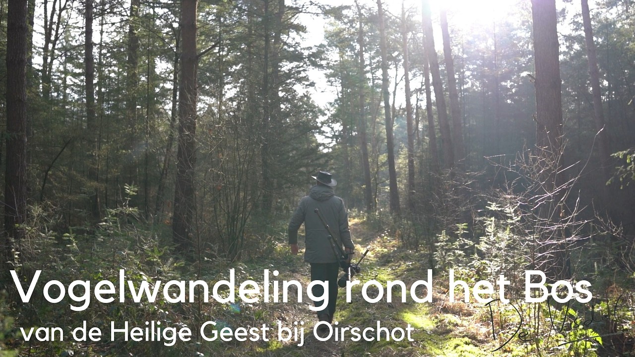 Vogelwandeling rond het Bos van de Heilige Geest bij Oirschot #1729