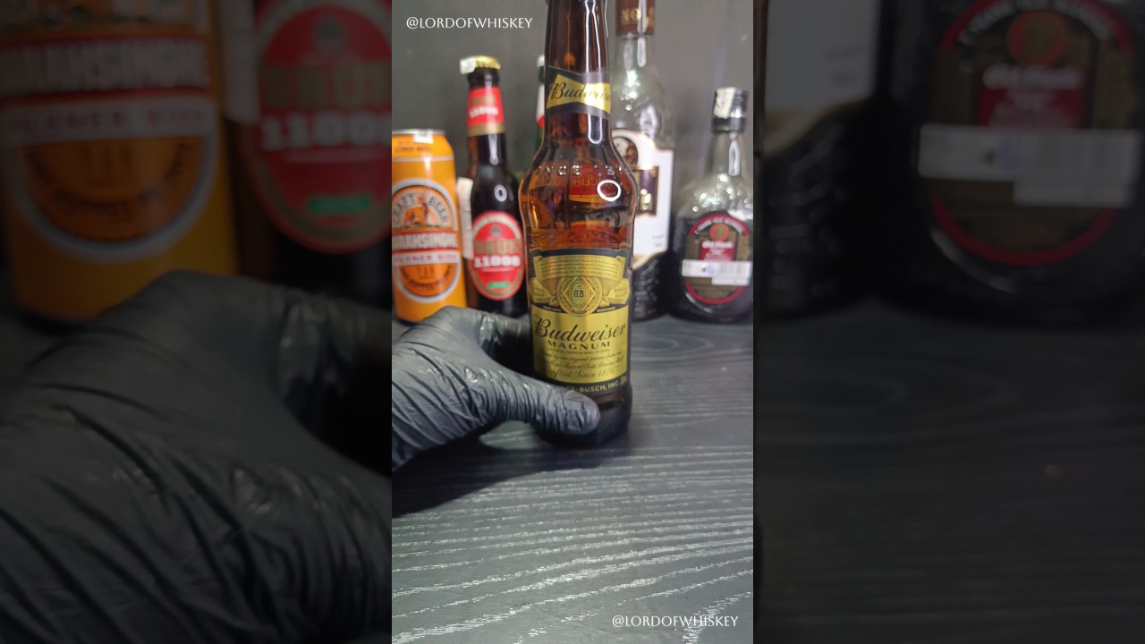 Budweiser Magnum Beer ASMR 🥂 