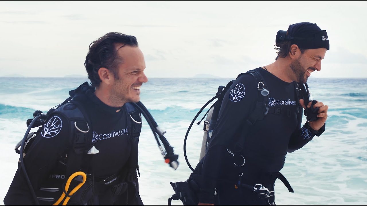 Coral Restoration Around Fregate Island, Seychelles - Coralive