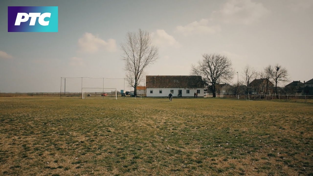 Šljiva ranka i stativa tanka - Banatski 