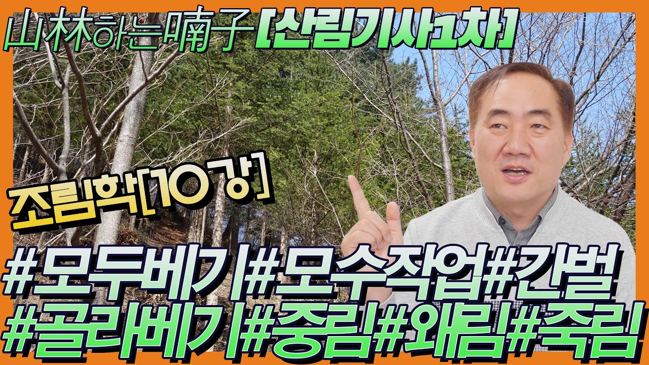 [산림기사1차] #조림학 제10강#교재 훑어보기#모두베기#모수작업#간벌#골라베기#중림#왜림#죽림★산림하는남자 김정호 입니다.