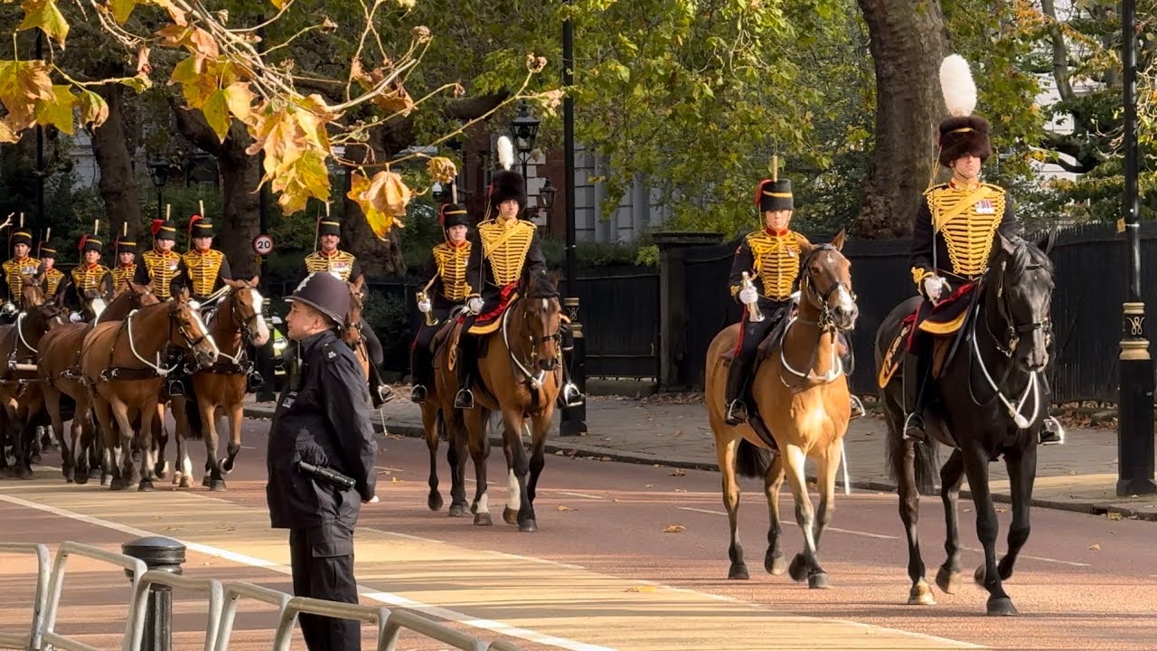 Super Rare sighting of The Royal Horse Artillery in Streets of London! (FULL DISMOUNT)