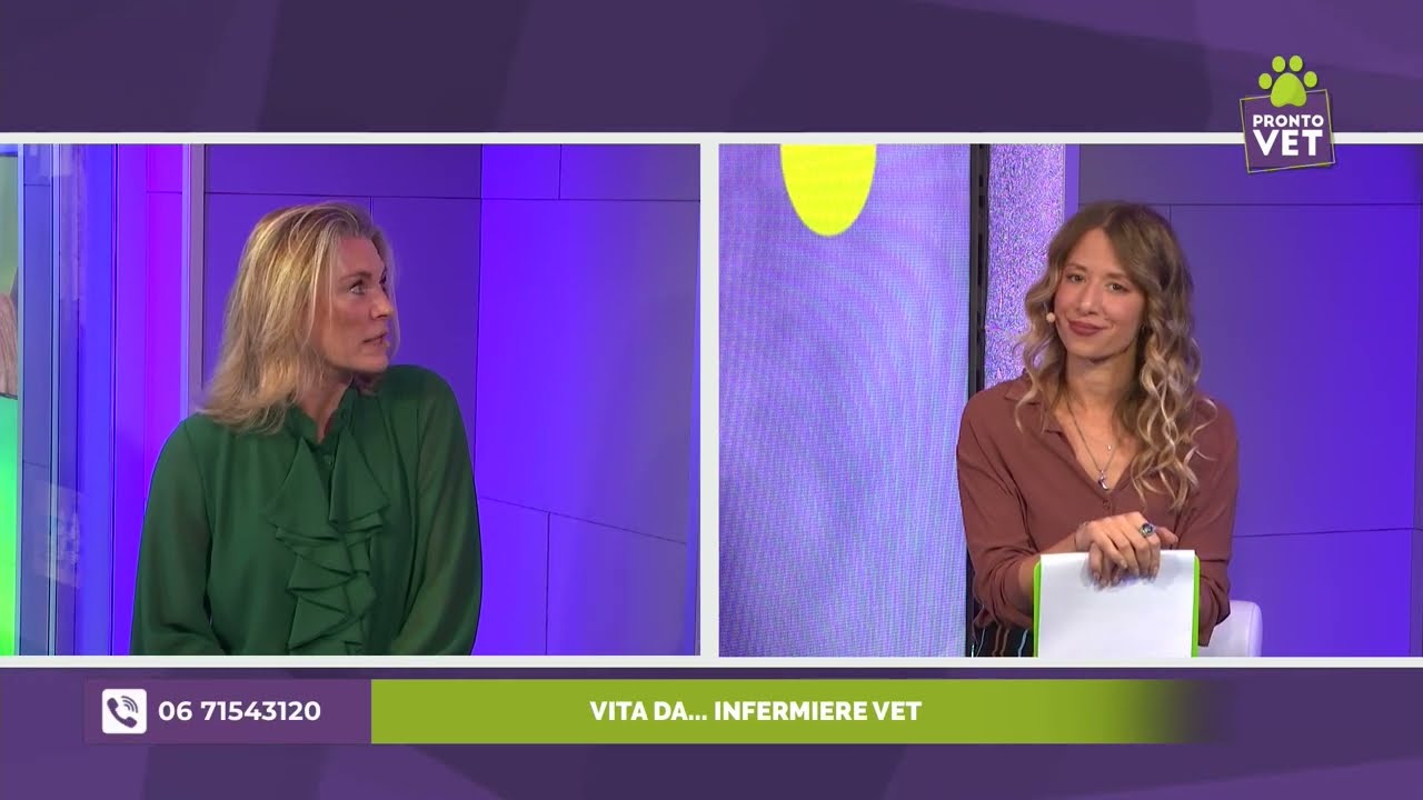 Pronto Vet - Vita da... Infermiere Vet!