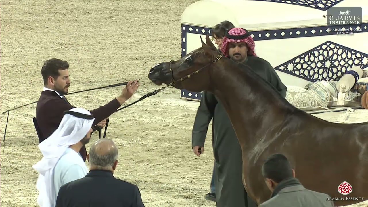 Athal Arabian Horse Show 2026   Class   5A