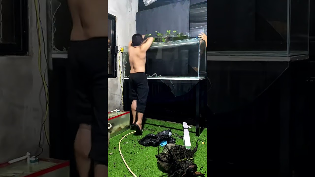 SUMABOG NA LANG YUNG MONSTER FISH TANK KO 😭😭😭 #MathewVijandre 