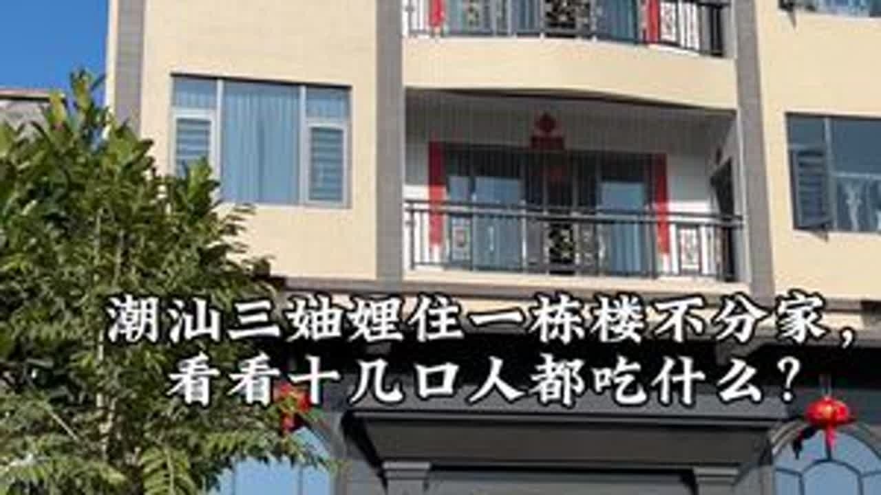 潮汕三妯娌住一栋楼不分家，看看十几口人都吃什么？#潮汕 #全职宝妈#我家超有春感力#北鼎 #不粘锅