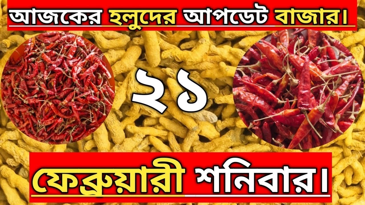 ২১ ফেব্রুয়ারী শনিবার। আজকের হলুদের আপডেট বাজার #হলুদ #হলুদের_বাজার #হলুদের_পাইকারি_বাজার 