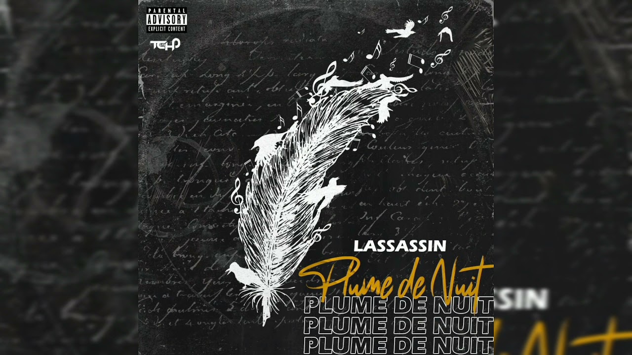 L’assassin - plume de nuit