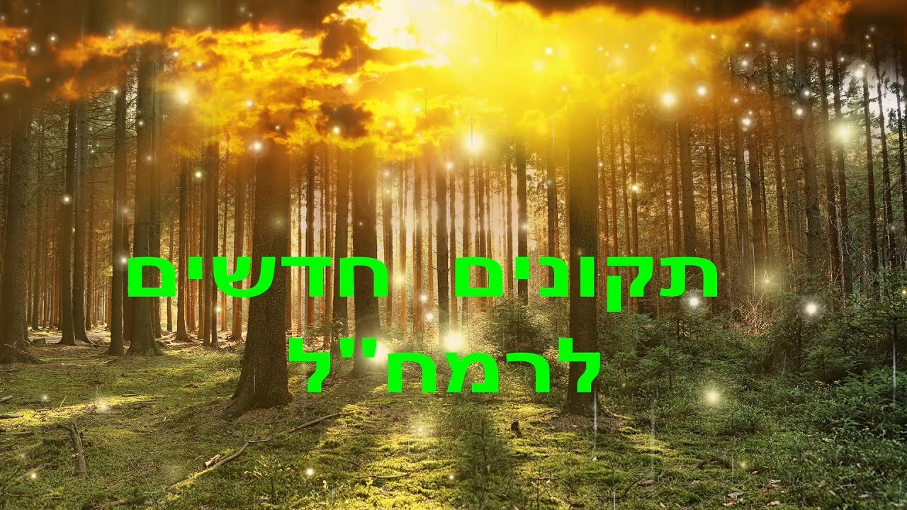 תיקונים חדשים לרמח