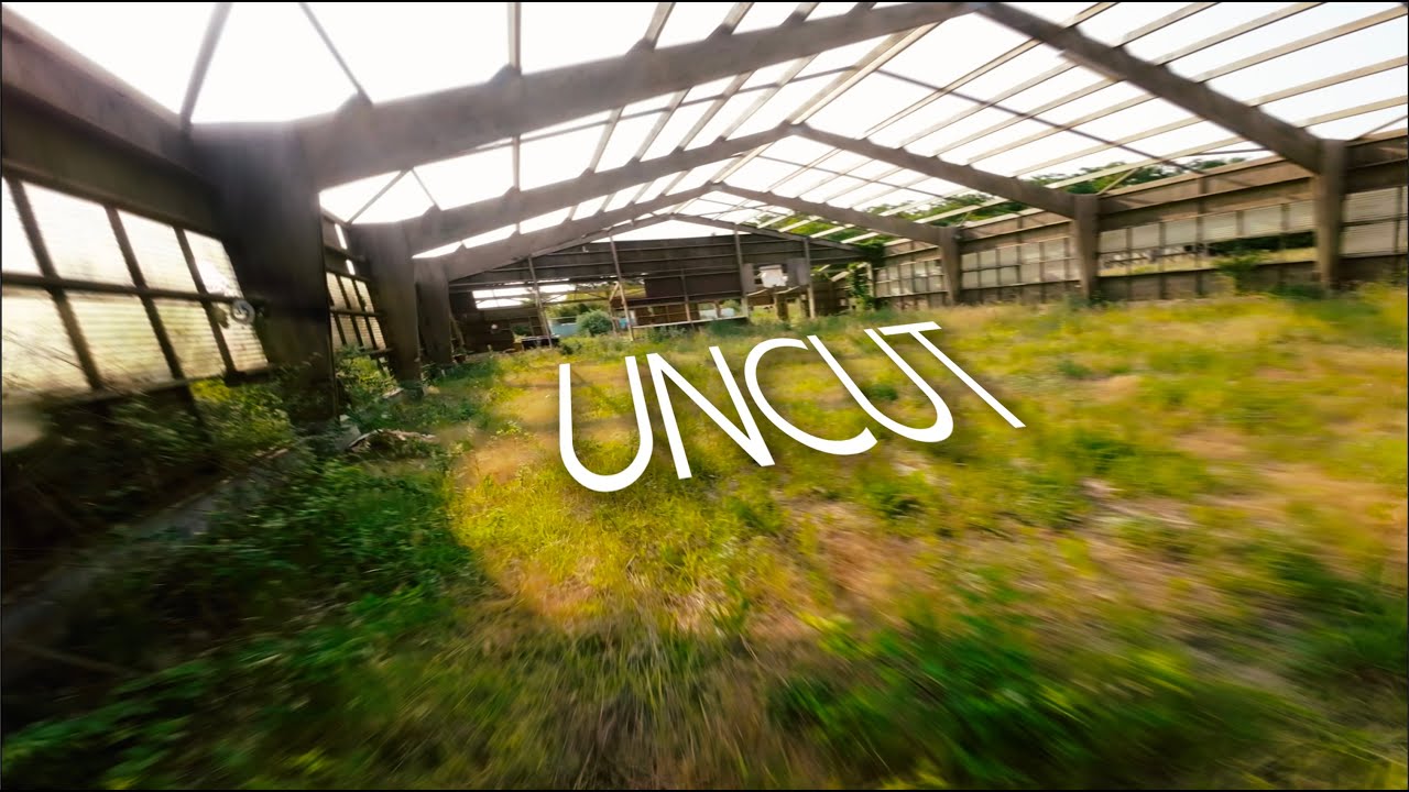 Uncut - Another bando gone