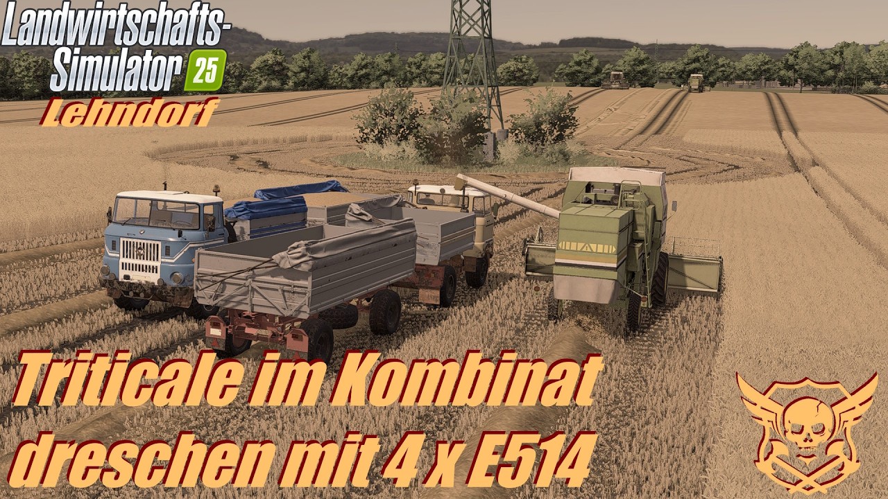 LS25 Lehndorf 041 | Triticale dreschen | #ls25