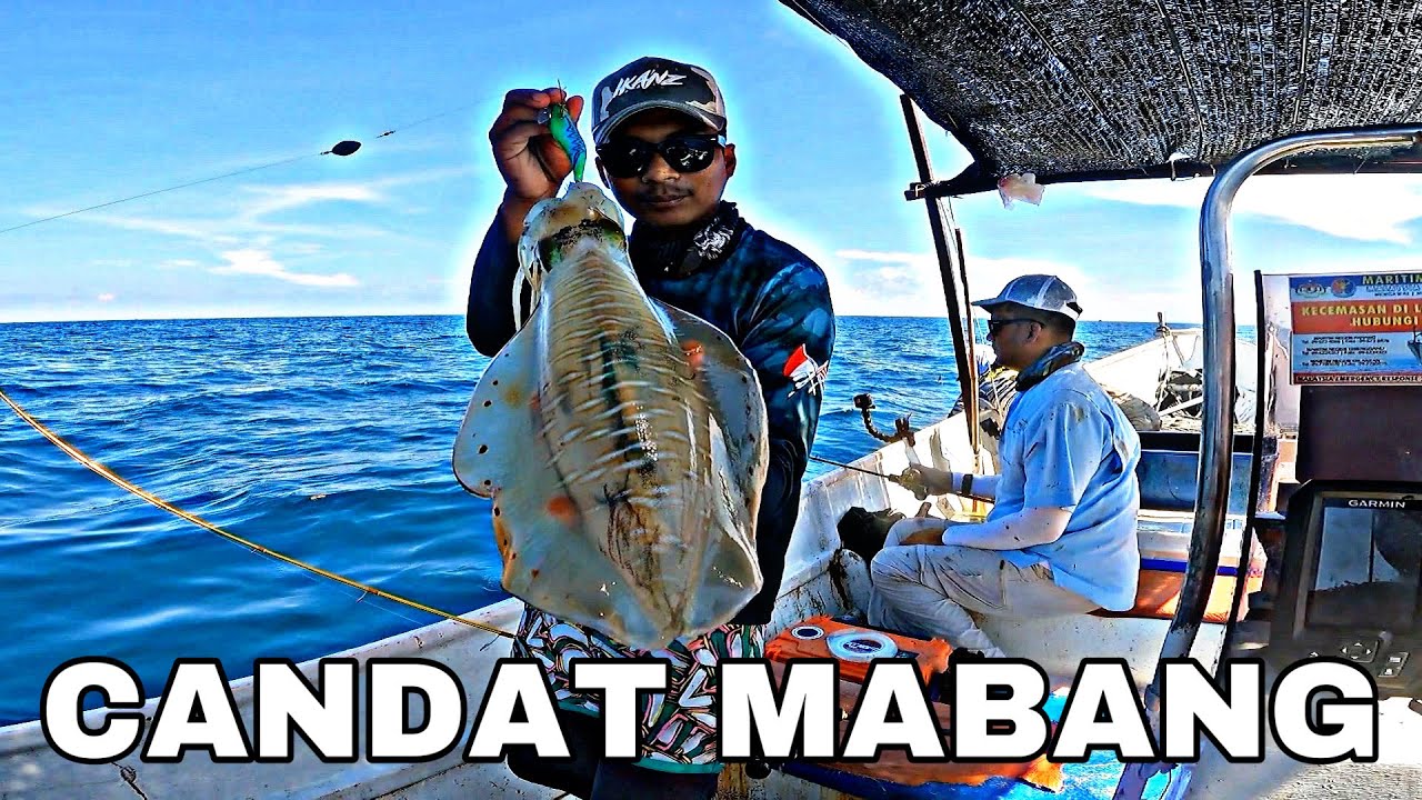 AKU JADI TEKONG CANDAT SOTONG MABANG