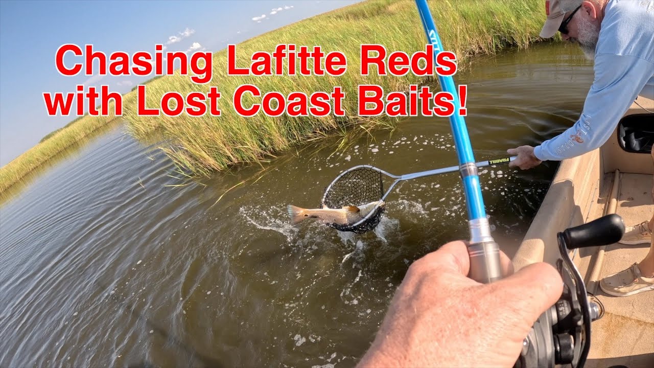 Красная рыба из Лафитта клевала на приманки Lost Coast Baits!