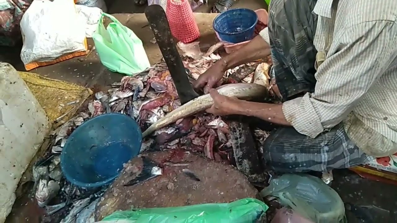 kuliri fish cutting | குளிரி மீன் வெட்டுதல் | அதிரை மீன் மார்க்கெட்