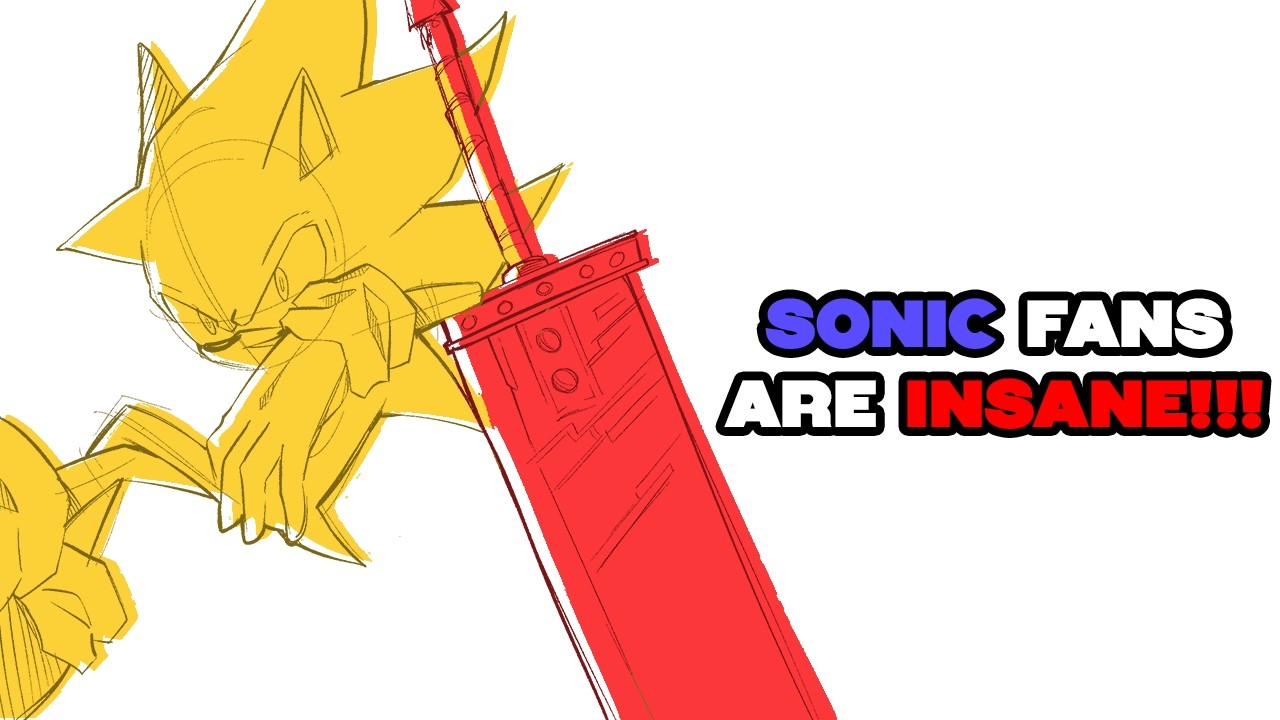 Sonic Fans are AMAZING!