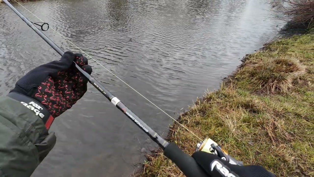 Snoekje op 4-play Herring 