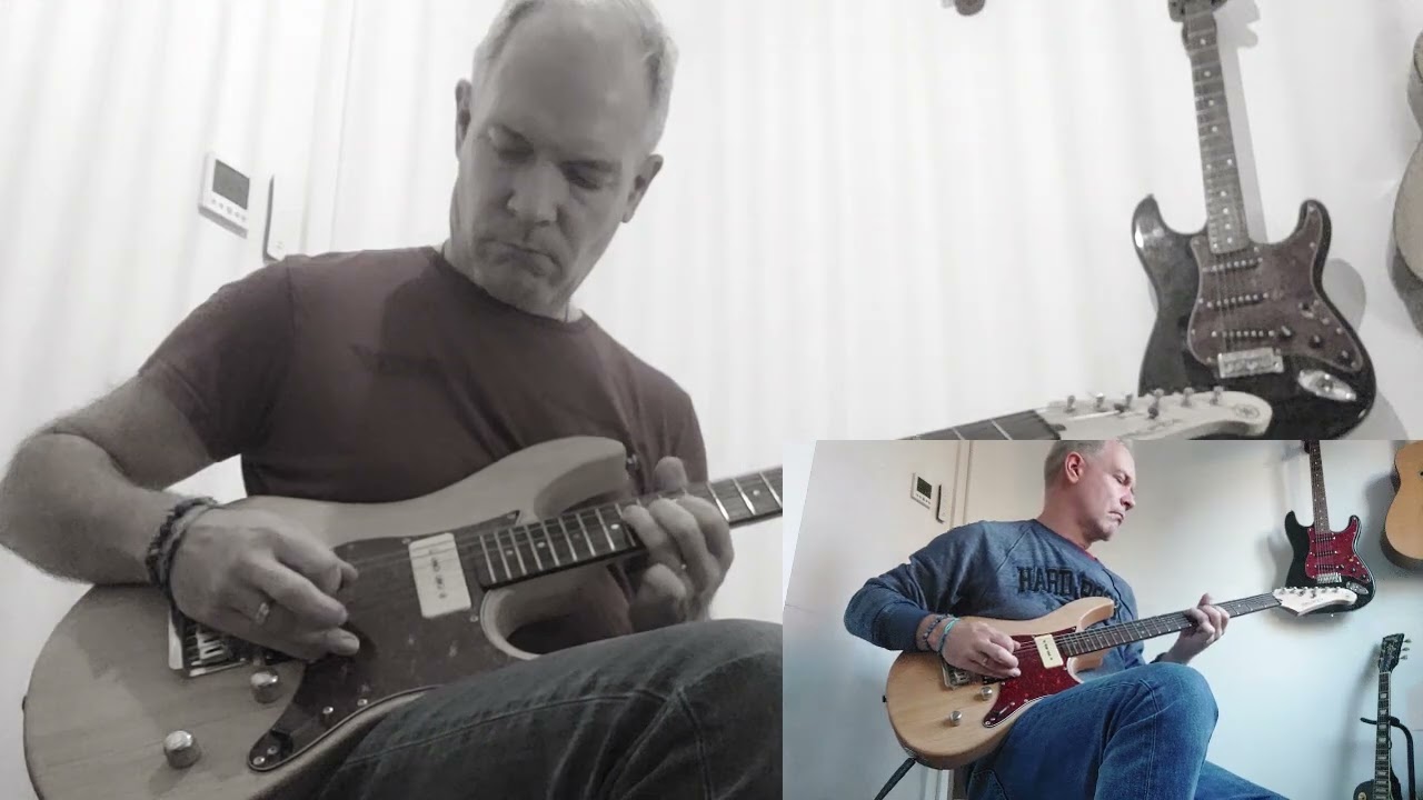 Metallica- The Memory Remains (Guitarcover)